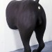 julies-dog-ate-my-memorabilia2KevinWayne-1
